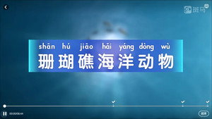 斑马百科 5. évad Ep.4 4. epizód