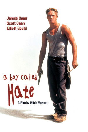 A Boy Called Hate poszter