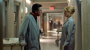 CSI: A helyszínelők 1. évad Ep.14 Szétszóródott csontok
