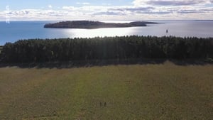 Rügen - Weiße Felsen, grüne Wälder háttérkép