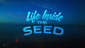 Life Inside the Seed háttérkép
