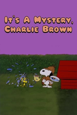 It's a Mystery, Charlie Brown poszter