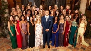 The Bachelor kép