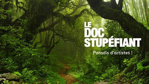 Le Doc stupéfiant 1. évad Ep.8 8. epizód