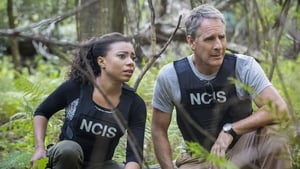 NCIS: New Orleans 2. évad Ep.8 8. epizód