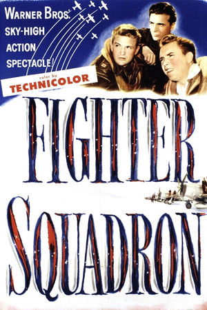 Fighter Squadron poszter