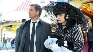 NCIS: Tengerészeti helyszínelők 13. évad Ep.12 Testvér város