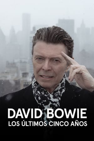 David Bowie: The Last Five Years poszter