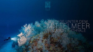 Planète Méditerranée háttérkép