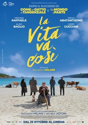 La vita va così poszter