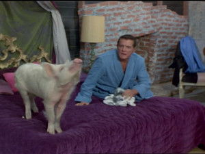 Green Acres Season 5 Ep.15 15. epizód