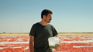 Hemme’nin Öldüğü Günlerden Biri háttérkép