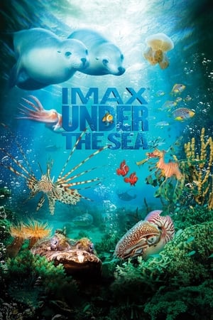 IMAX - A tenger mélyén