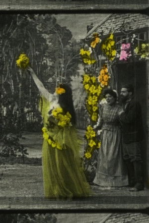 Fantastic Flowers