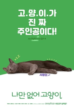 나만 없어 고양이 poszter