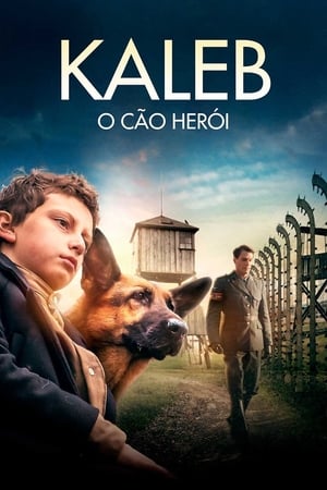 Shepherd: The Story of a Jewish Dog poszter