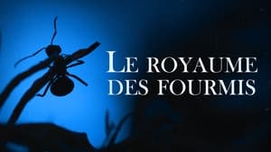 Le Royaume des fourmis háttérkép