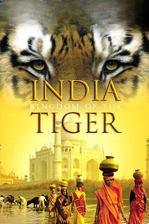 IMAX - India: A tigris birodalma poszter