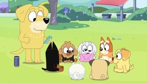 Bluey 3. évad Ep.14 Csomagozás