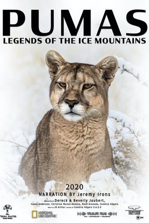 Pumas: Legends of the Ice Mountains poszter
