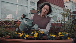 Bloom háttérkép