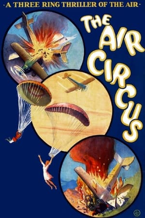 The Air Circus poszter