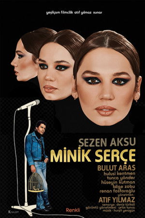 Minik Serçe poszter