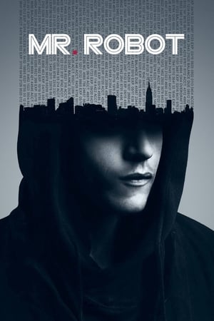 Mr. Robot poszter