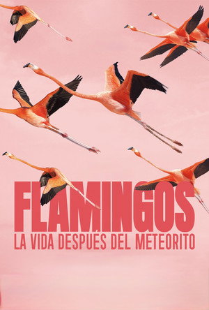 Flamingos: La vida después del meteorito poszter