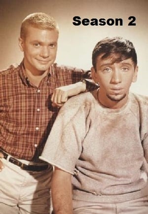 The Many Loves of Dobie Gillis