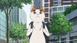 となりの妖怪さん 1. évad Ep.11 11. epizód
