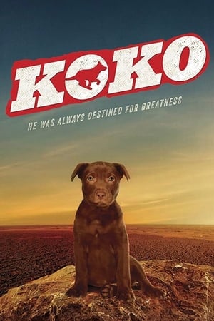 Koko: A Red Dog Story poszter