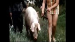The Dark Side of Porn: The Real Animal Farm háttérkép