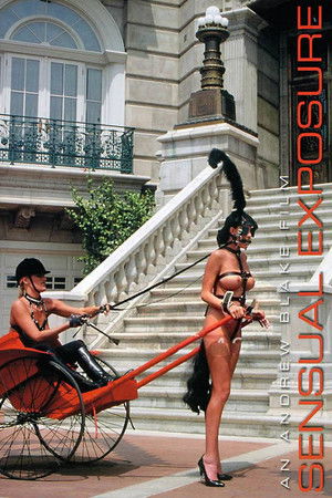Sensual Exposure poszter
