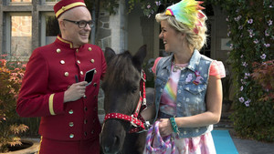 K3: Dierenhotel háttérkép