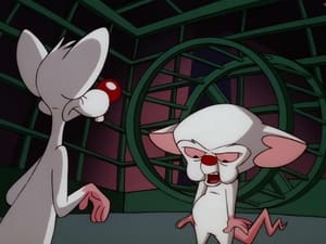 Pinky and the Brain 4. évad Ep.8 8. epizód