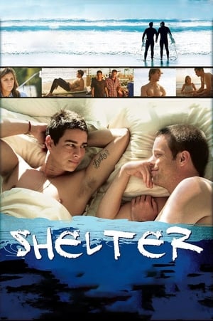 Shelter poszter