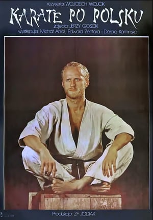 Karate po polsku poszter