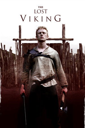 The Lost Viking poszter
