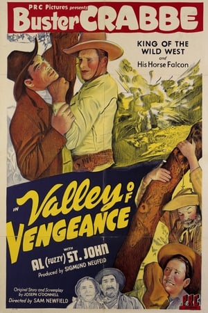 Valley Of Vengeance poszter