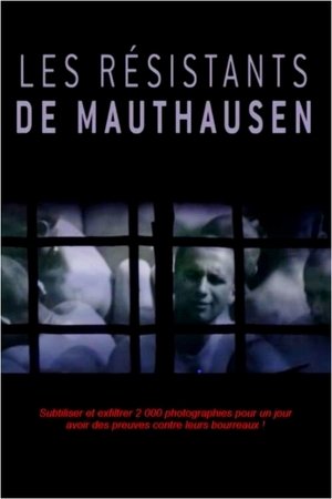 Les Résistants de Mauthausen poszter