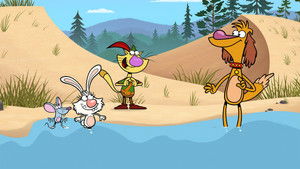 Nature Cat kép