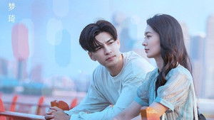 赘婿无双 kép