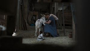 Emma és a halálfejes lepke háttérkép