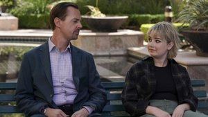 NCIS: Tengerészeti helyszínelők 19. évad Ep.19 Kölyökfalka