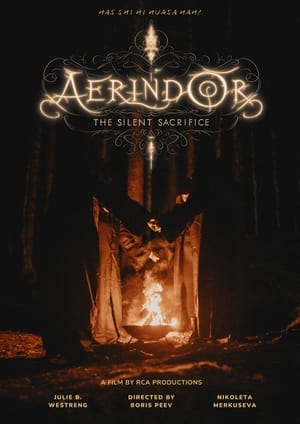 Aerindor: The silent sacrifice poszter