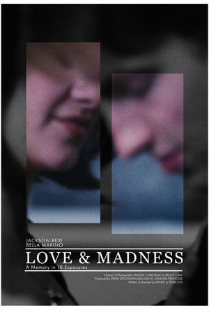 Love & Madness poszter