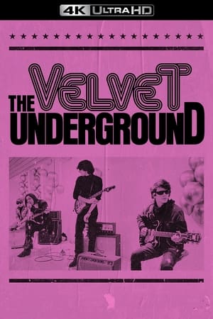 The Velvet Underground poszter