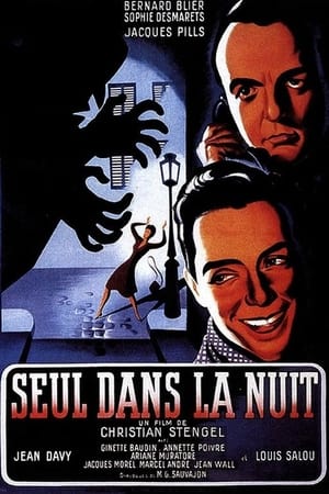 Seul dans la nuit poszter