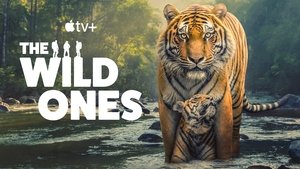 The Wild Ones kép